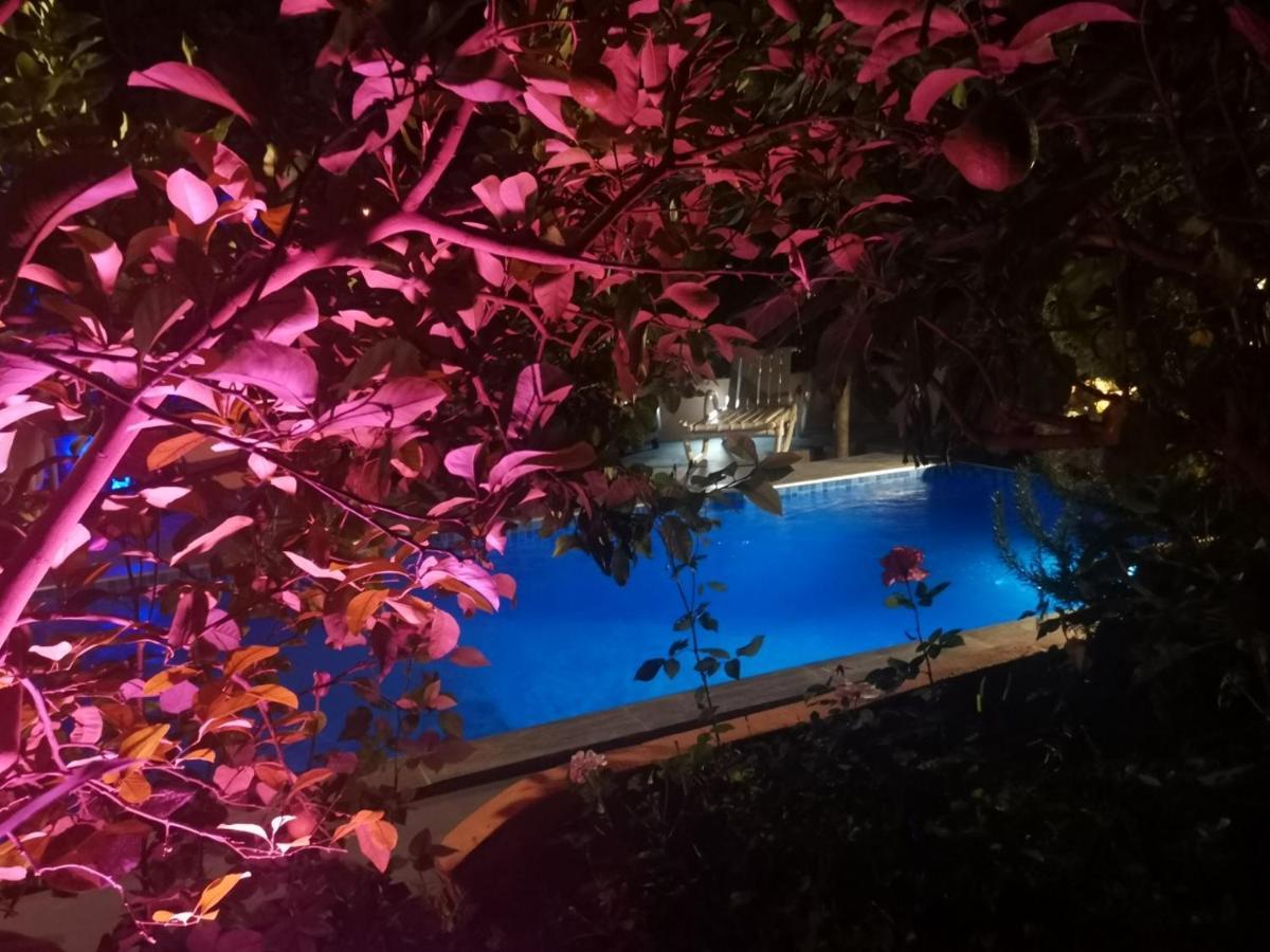 Riad Avec Terrasse Privee Et Piscine Partagee A 300M เฟส ภายนอก รูปภาพ